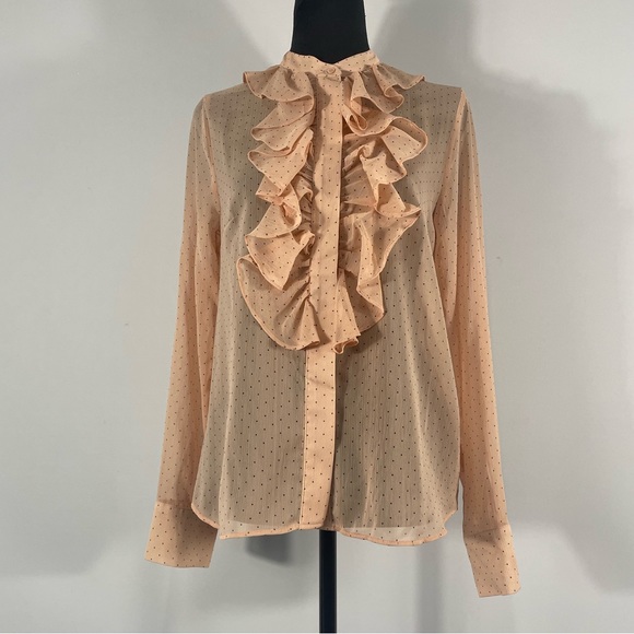 H & M Pink Polka Dot Ruffle top, Sheer, button up, Size Small - Picture 2 of 8